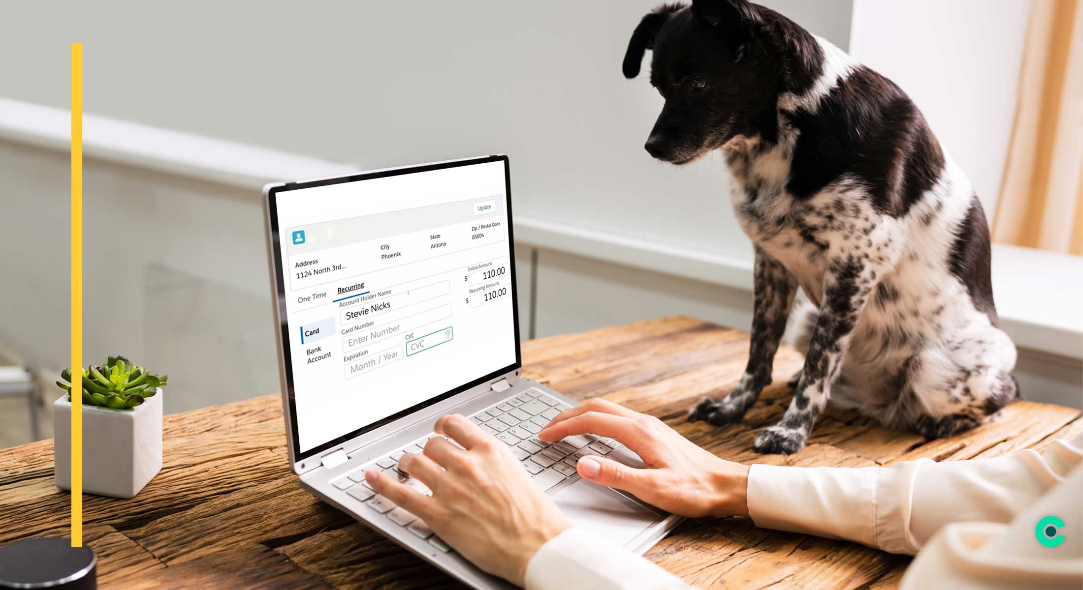 A dog watches while a woman sets up a recurring payment on her laptop