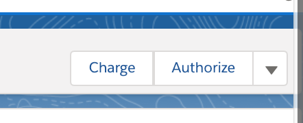 charge authorize