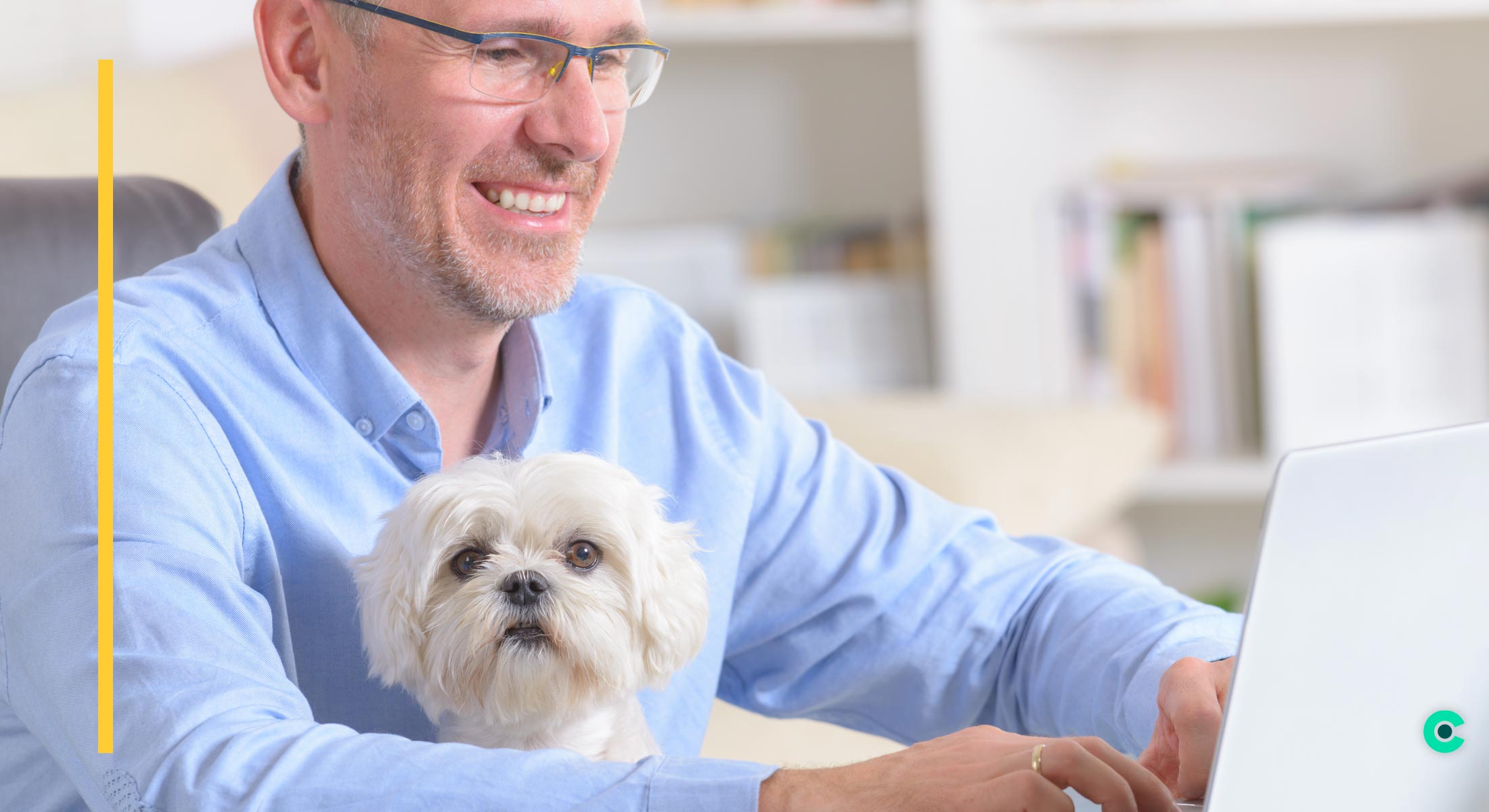 A man works on his laptop with a little white dog sitting on his lap